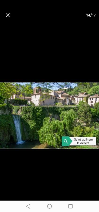 Appartement Paisible Entre Terre Et Mer Cabrieres  エクステリア 写真
